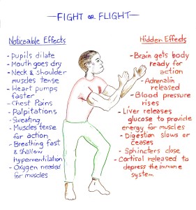 Fight_or_flight2