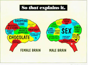gender-brains
